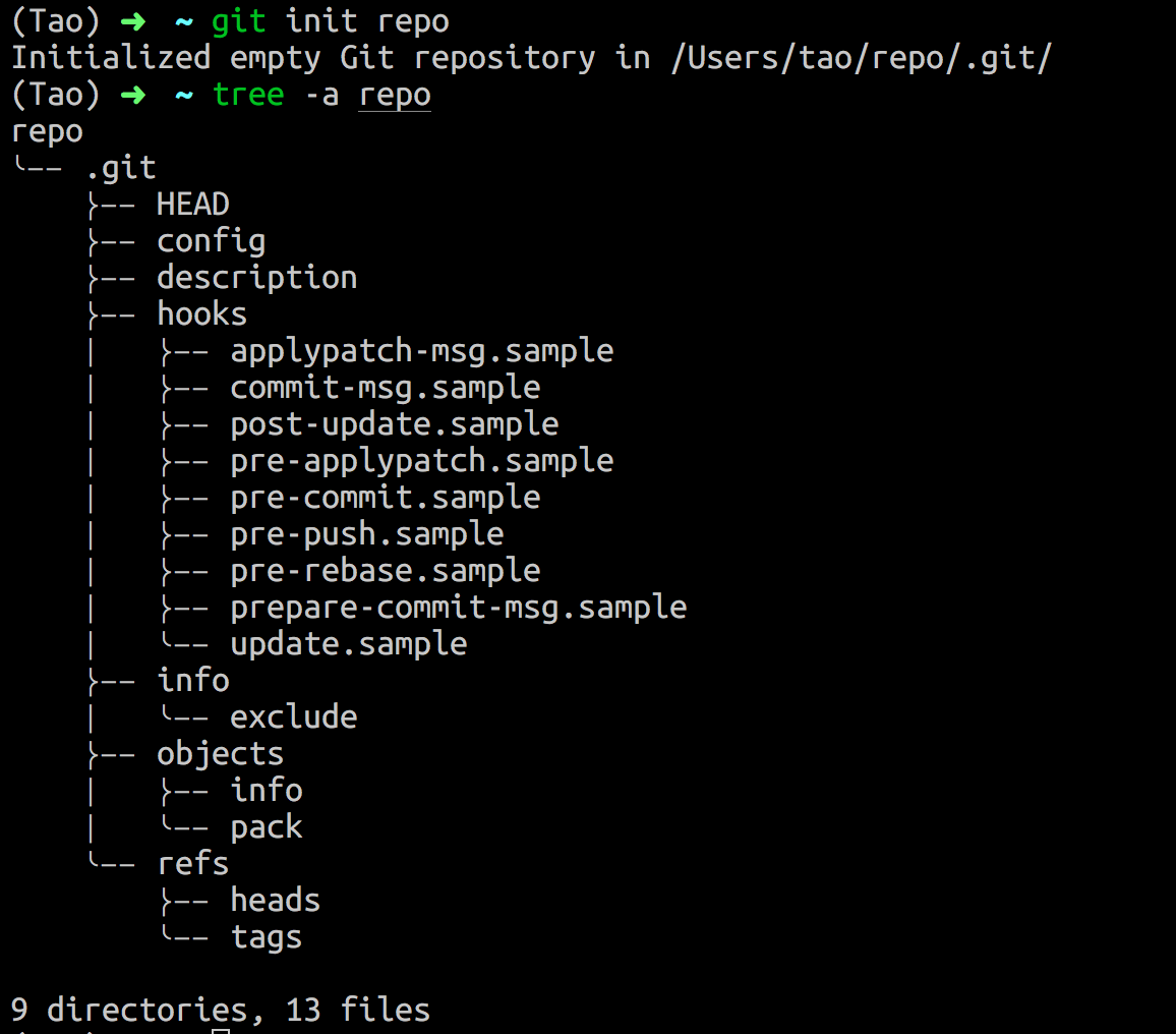 git init repo
